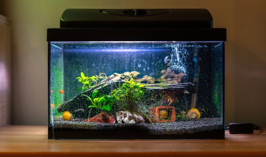 Aquarium Repair